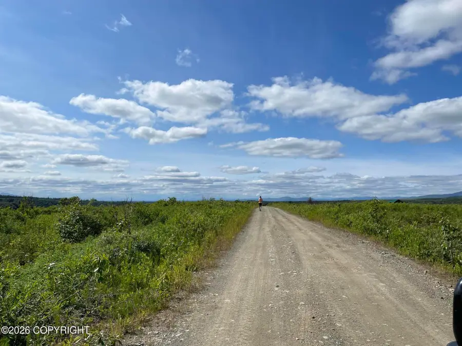 5598 S Lucky Creek Circle, Trapper Creek, AK 99683 - #3