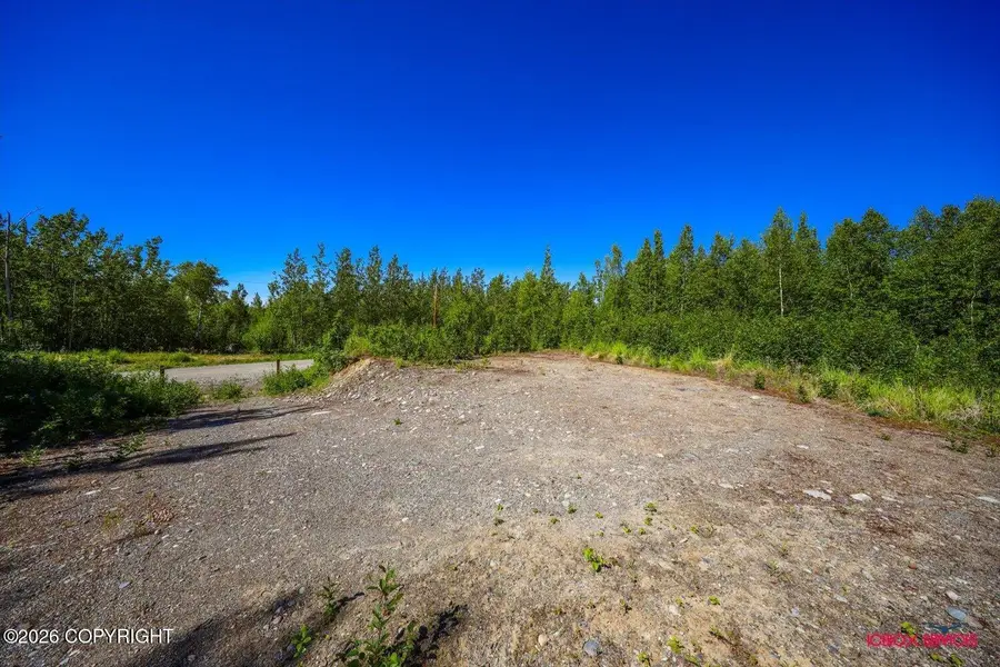 10703 W Backus Drive, Wasilla, AK 99654 - #3