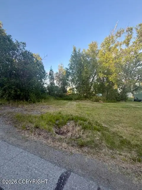 6691 W Leopold Loop, Wasilla, AK 99623 - #3