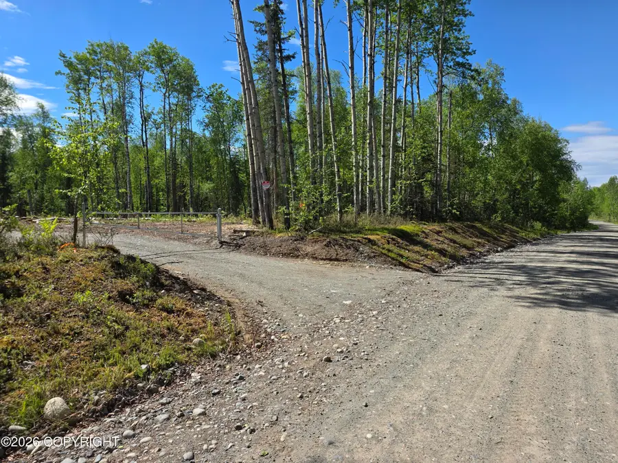 51293 S Caswell Loop, Willow, AK 99688 - #2