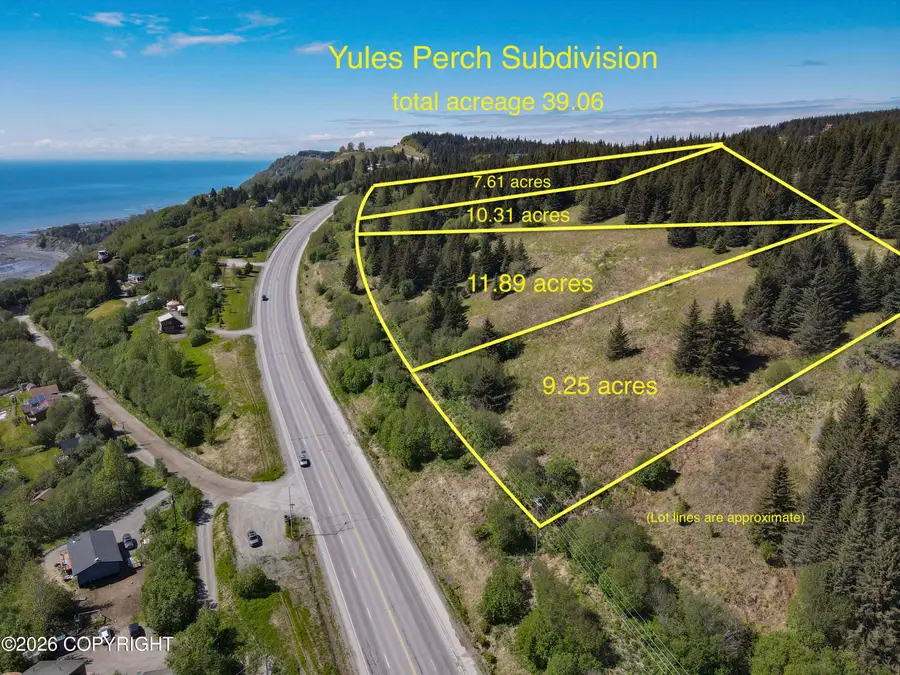 0000 Sterling Highway, Homer, AK 99603 - #2