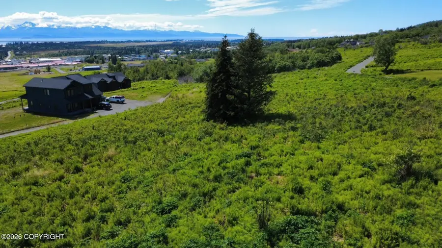 41201 Wandering Street, Homer, AK 99603 - #3