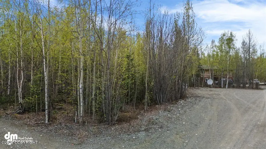 638 S Harlindon Dale Circle, Wasilla, AK 99654 - #2