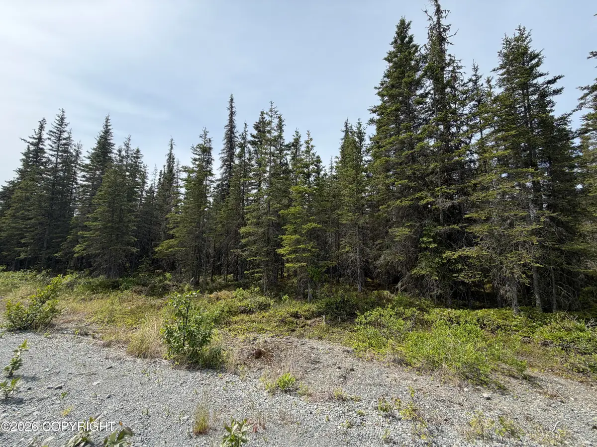 50123 Buoy Avenue, Kenai, AK 99611 - #1
