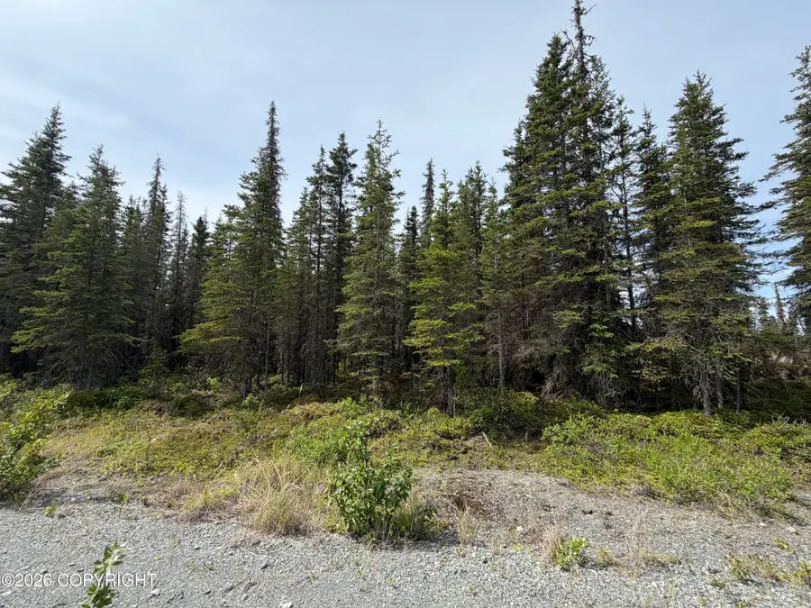 50123 Buoy Avenue, Kenai, AK 99611 - #2