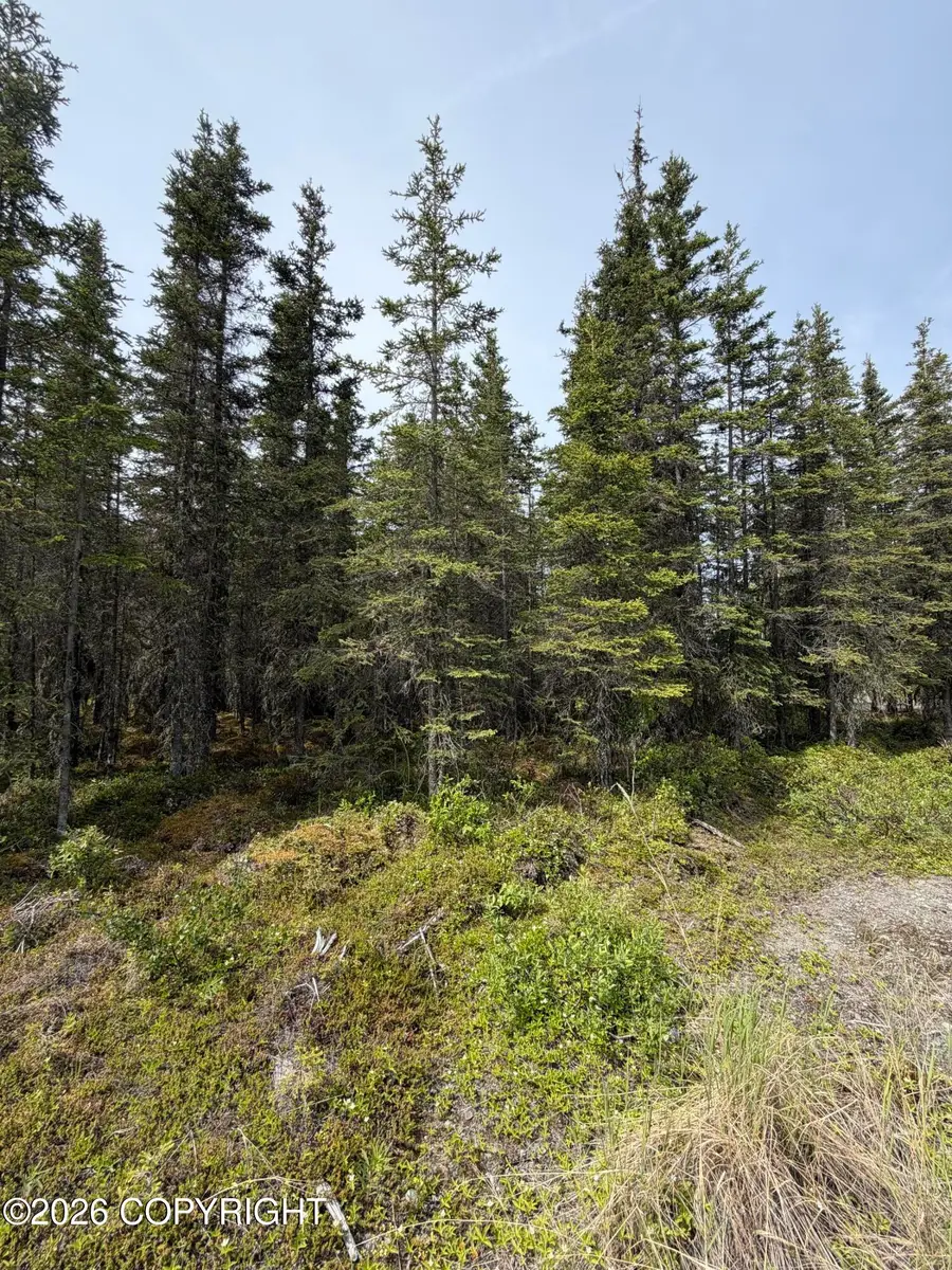 50123 Buoy Avenue, Kenai, AK 99611 - #3