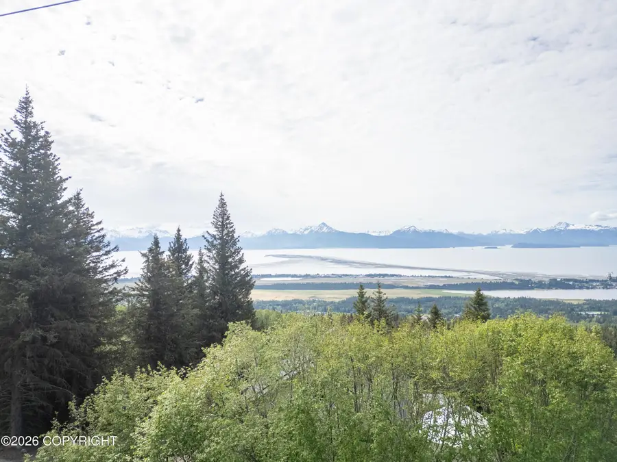 1365 Dons Drive, Homer, AK 99603 - #2