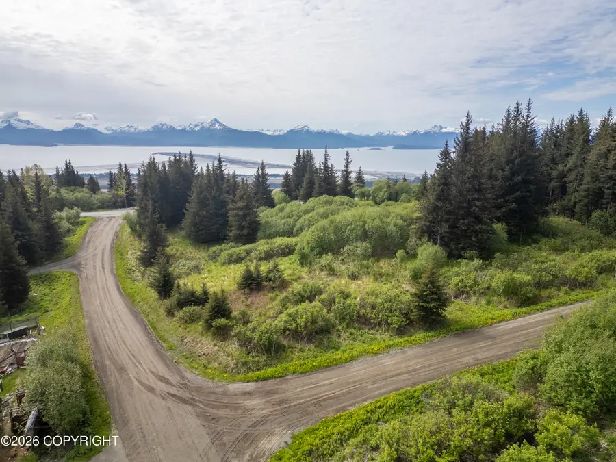 1365 Dons Drive, Homer, AK 99603 - #3