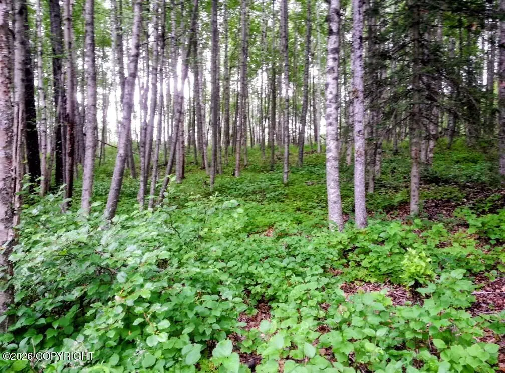 15274 W 4th Street, Wasilla, AK 99623 - #1