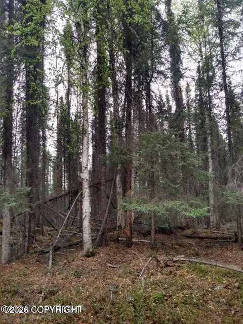 Tr E No Road, Big Lake, AK 99652 - #3
