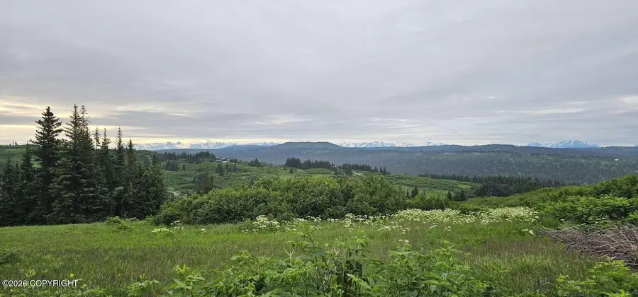 35925 N Fork Road, Homer, AK 99603 - #2