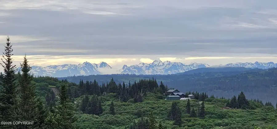 35925 N Fork Road, Homer, AK 99603 - #3