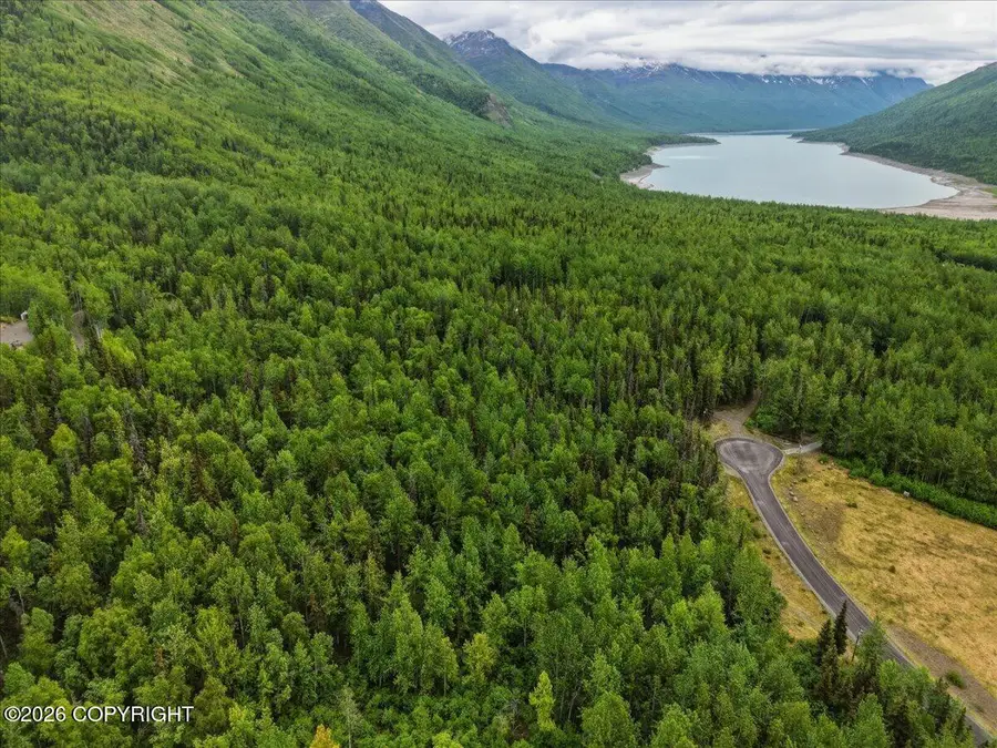 L2 Twin Peaks Drive, Chugiak, AK 99567 - #2