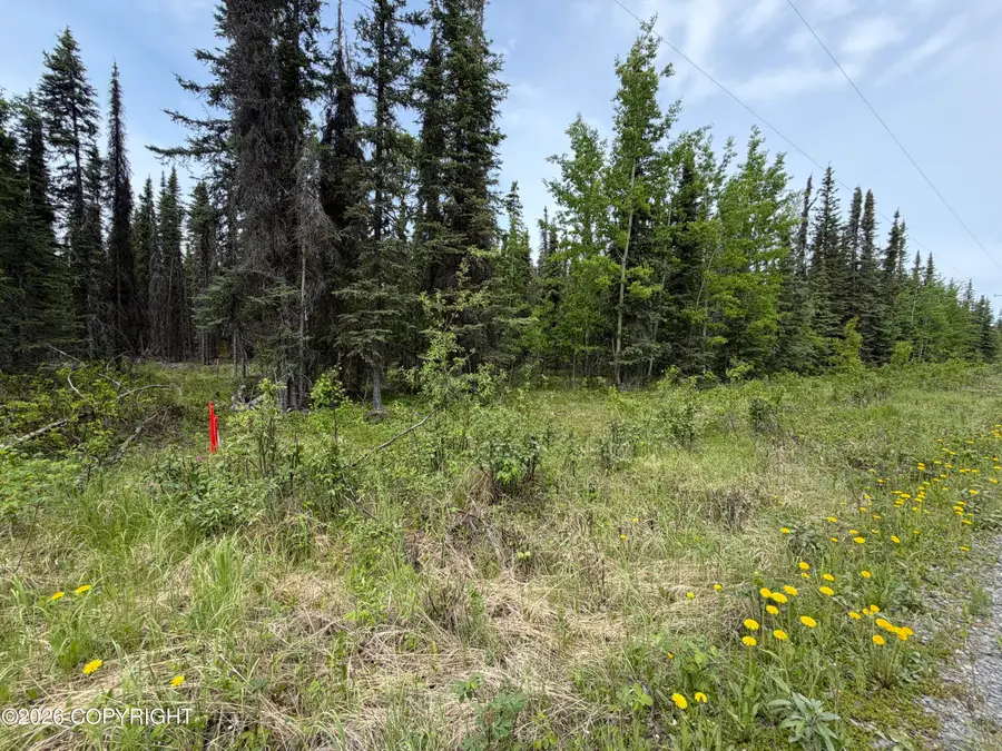 L12A Goodyear Street, Soldotna, AK 99669 - #3