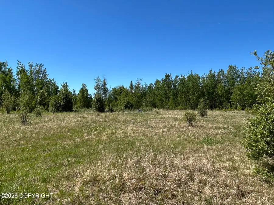 36500 Skylark Lane, Soldotna, AK 99669 - #3