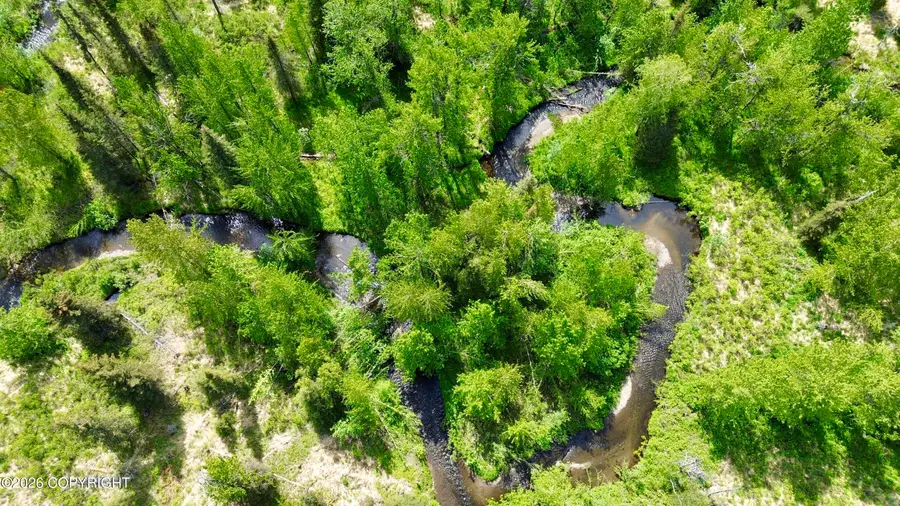 35232 N Fork Road, Anchor Point, AK 99556 - #3