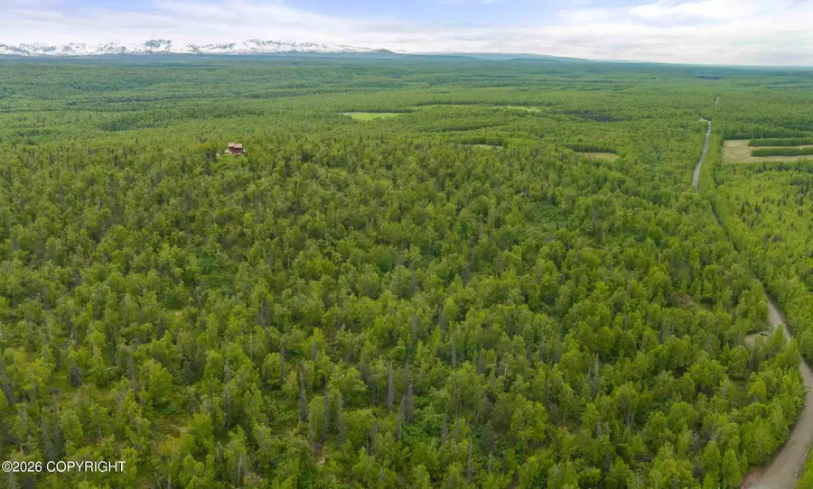 22909 E Rampart Loop, Talkeetna, AK 99676 - #3