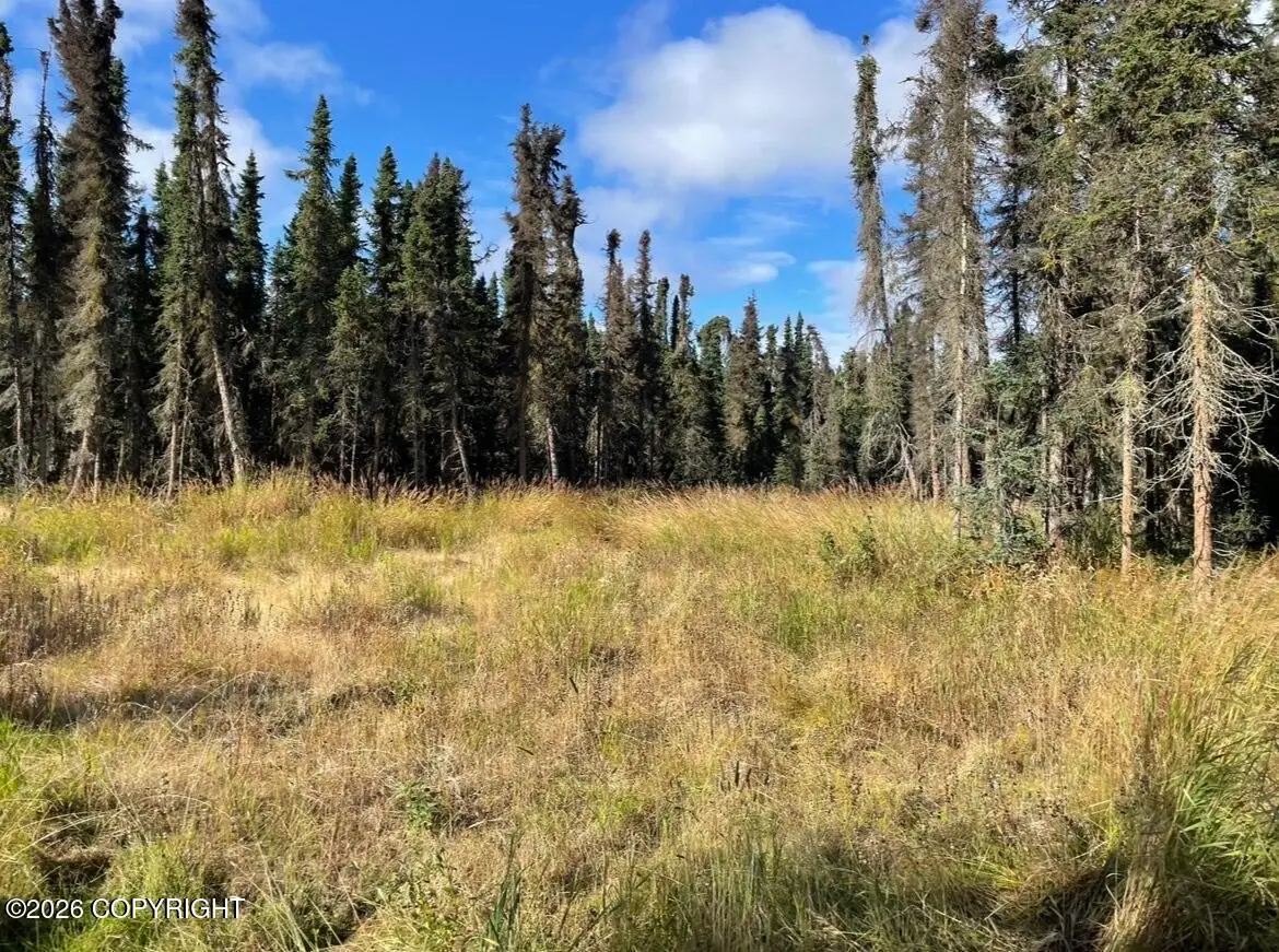 47270 Burt Avenue, Soldotna, AK 99669 - #1