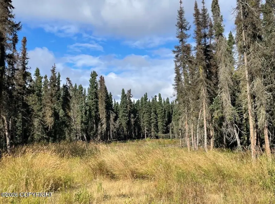 47270 Burt Avenue, Soldotna, AK 99669 - #3