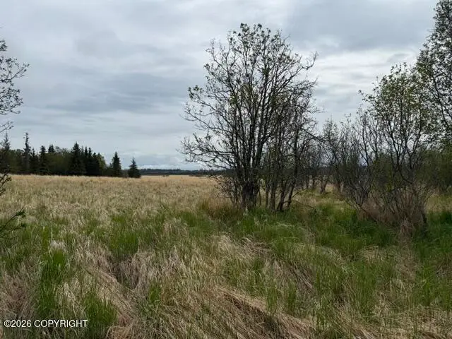 NHN Early Spring Street, Homer, AK 99603 - #1