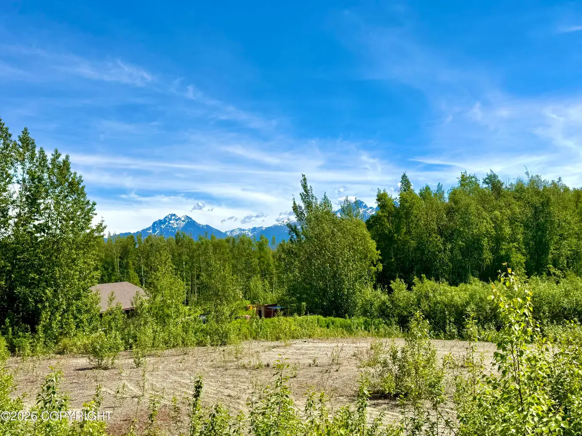 2921 S Davis Road, Wasilla, AK 99654 - #1