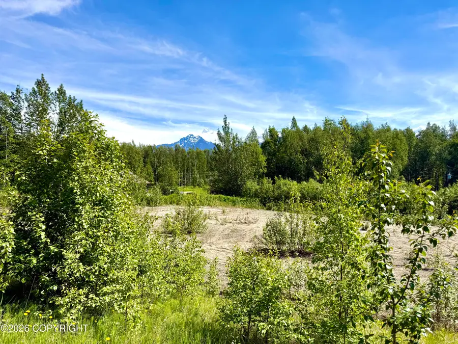 2921 S Davis Road, Wasilla, AK 99654 - #3