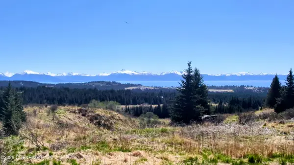 66711 Fry Court, Homer, AK 99603