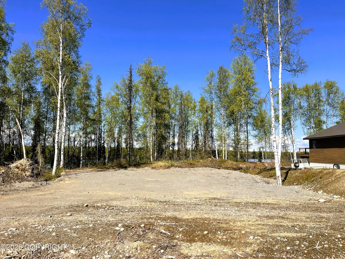 19351 E Caswell Lakes Road, Willow, AK 99688 - #1