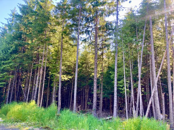 L2 Coffman Highway, Coffman Cove, AK 99918