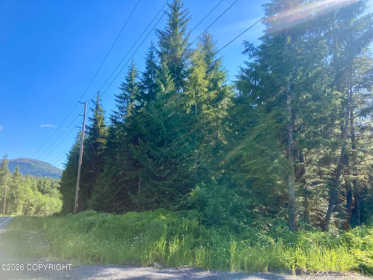 L1 Coffman Highway, Coffman Cove, AK 99918 - #1