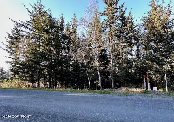 Lot8 BlkB Skyline Drive, Haines, AK 99827