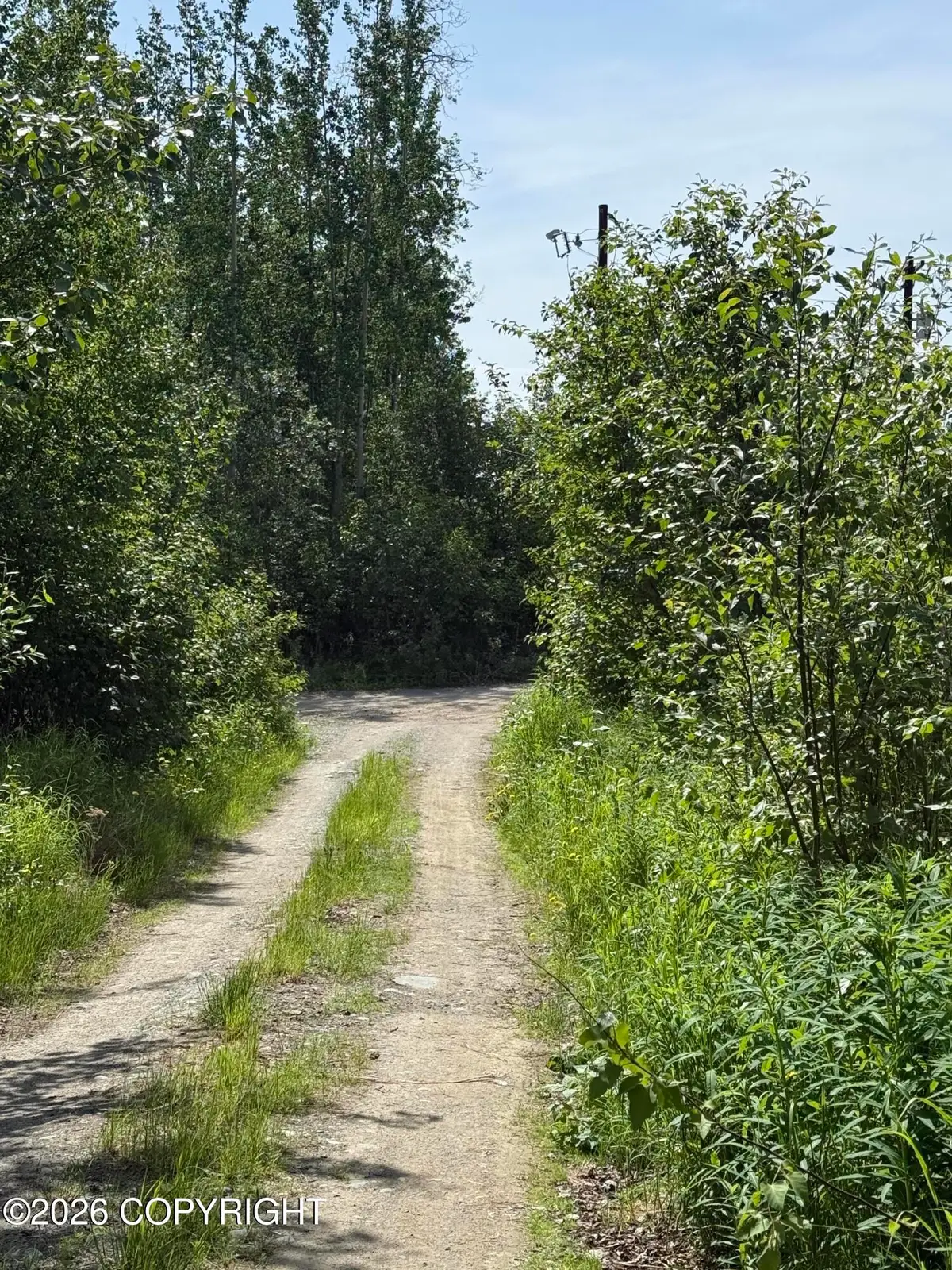 14045 W Aero Lane, Big Lake, AK 99623 - #1