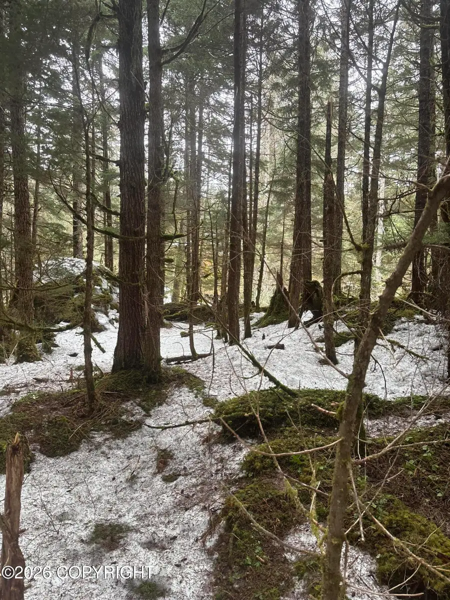 165 Virgin Creek Road, Girdwood, AK 99587 - #3