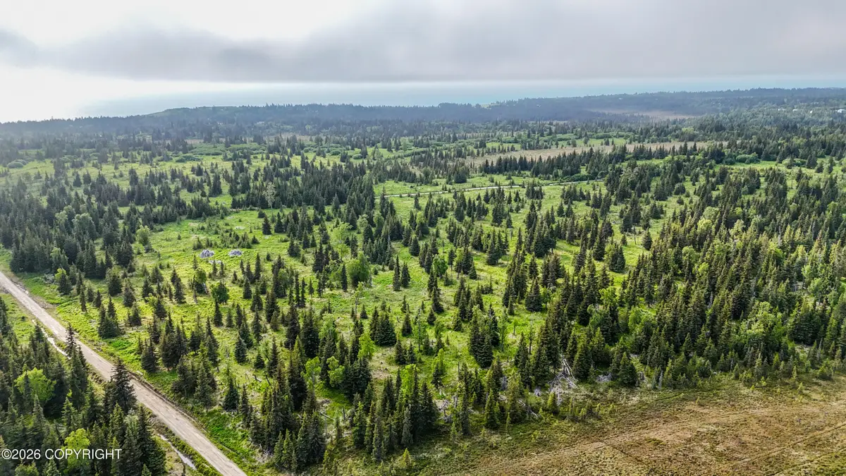 67212 Homestead Road, Ninilchik, AK 99639 - #1