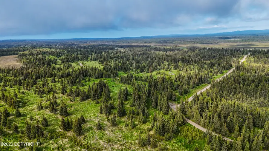 67212 Homestead Road, Ninilchik, AK 99639 - #3