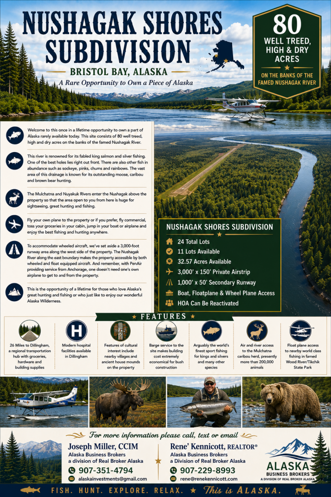 BLK1 LTP9 Nushagak Shores, Dillingham, AK 99576 - #2