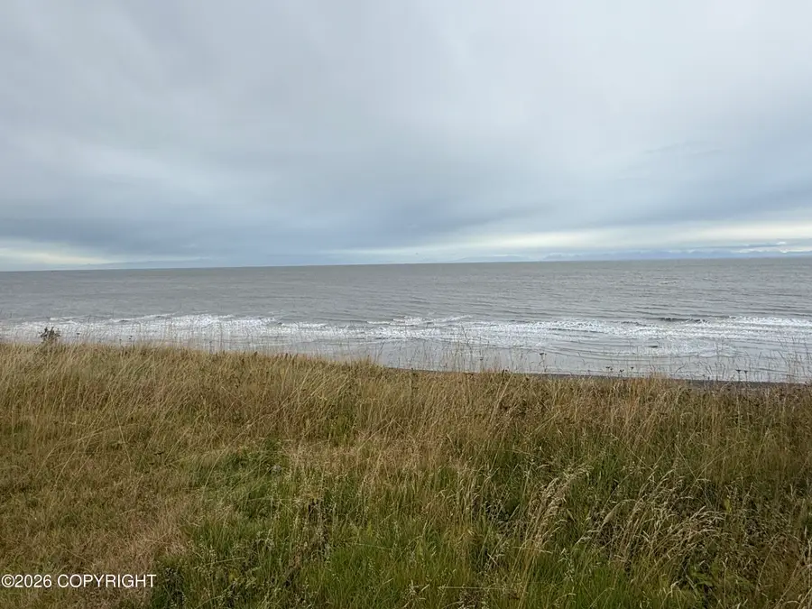 25265 Cohoe Loop Road, Kasilof, AK 99610 - #2