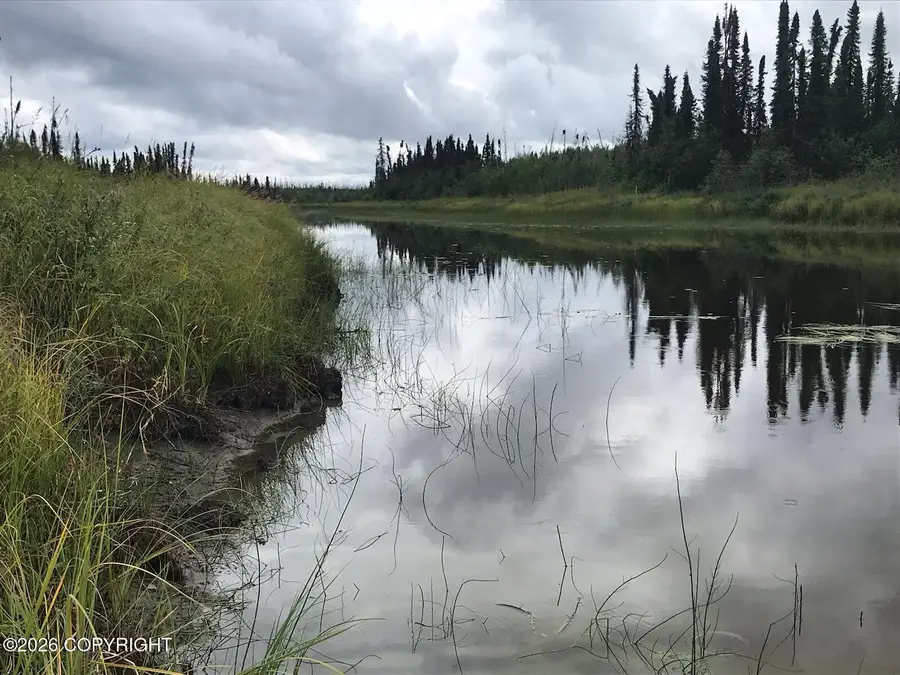 Tr F Trapper Lake (no Road), Matanuska Susitna, AK 99694 - #2