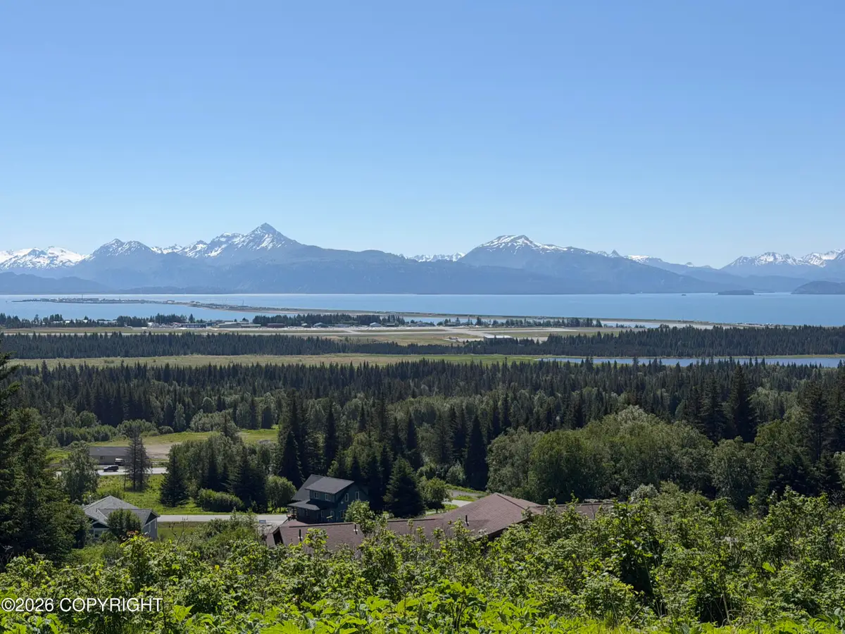 4690 Craftsman Road, Homer, AK 99603 - #1