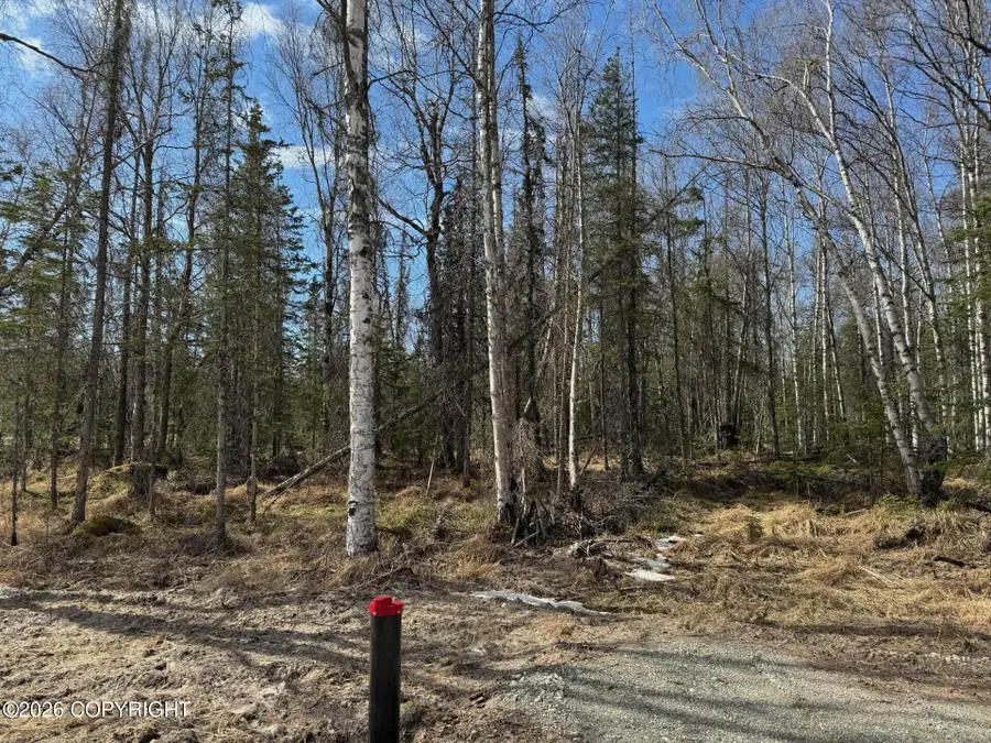 4173 E Harman, Wasilla, AK 99654 - #2