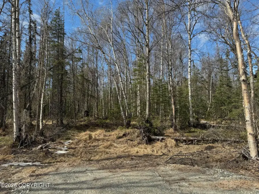 4173 E Harman, Wasilla, AK 99654 - #3