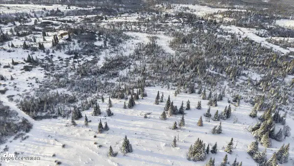 54425 Towe Avenue, Ninilchik, AK 99639