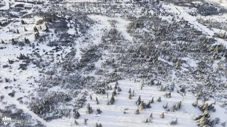 54425 Towe Avenue, Ninilchik, AK 99639 - Image #2