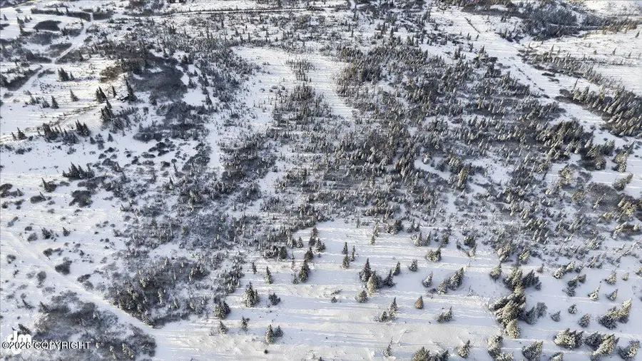 54425 Towe Avenue, Ninilchik, AK 99639 - Image #3