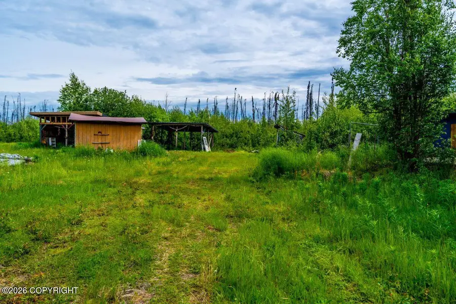 25700 W Long Run Way, Willow, AK 99688 - #3