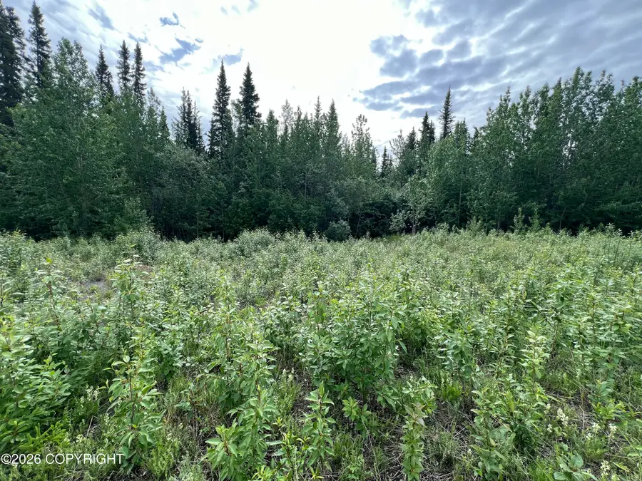 MM 68 Tok Cutoff Highway, Slana, AK 99586 - #3