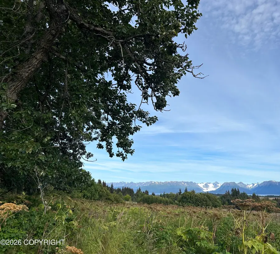 4560 Craftsman Road, Homer, AK 99603 - #3