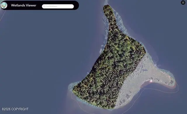 L 1-2 Red Shirt Lake-largest Island, Willow, AK 99688 - #1