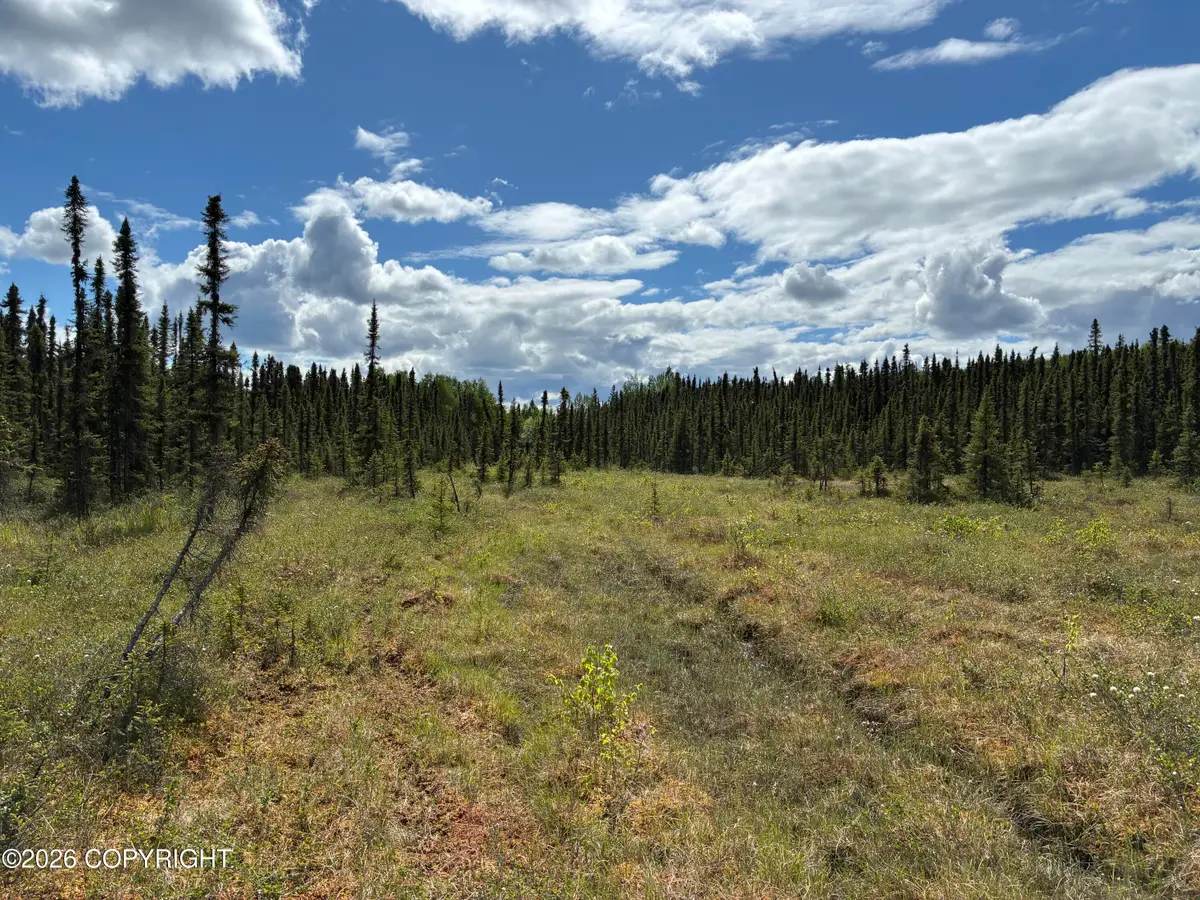 3846 N White Knight Drive, Wasilla, AK 99654 - #1