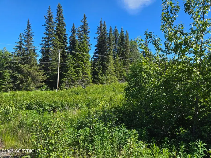 34700 Sterling Highway, Anchor Point, AK 99556 - #2